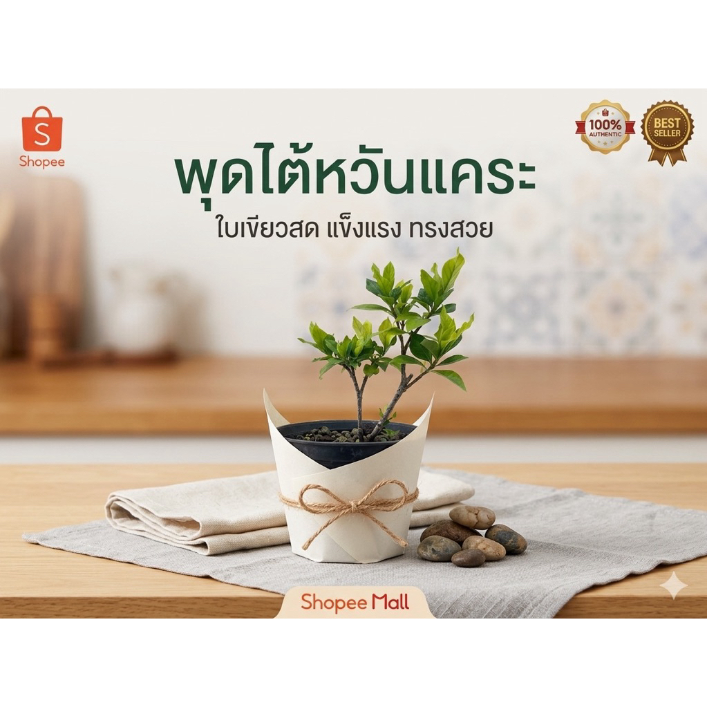 พุดไต้หวัน แคระกลิ่นหอม ดอกดก เลี้ยงง่ายต้นพุดแคระไต้หวัน ไม้มงคล ใบเขียวแน่น ทรงสวย พร้อมปลูก | Taiwan Dwarf Gardenia ราคา ถูกที่สุด ดีลบีเคเค แกลเลอรีภาพที่ 3