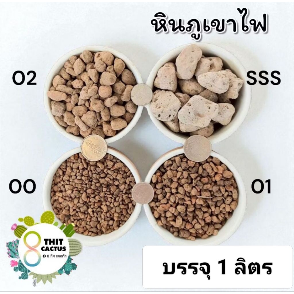 // หินภูเขาไฟ 1 ลิตร // Pumice Stone วัสดุปลูก แคคตัส กระบองเพชร ต้นไม้
