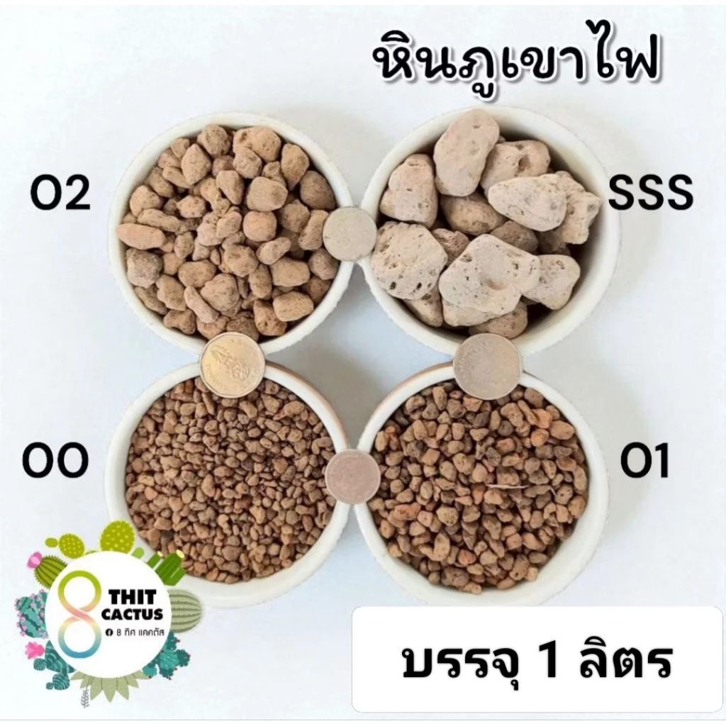 // หินภูเขาไฟ 1 ลิตร // Pumice Stone วัสดุปลูก แคคตัส กระบองเพชร ต้นไม้