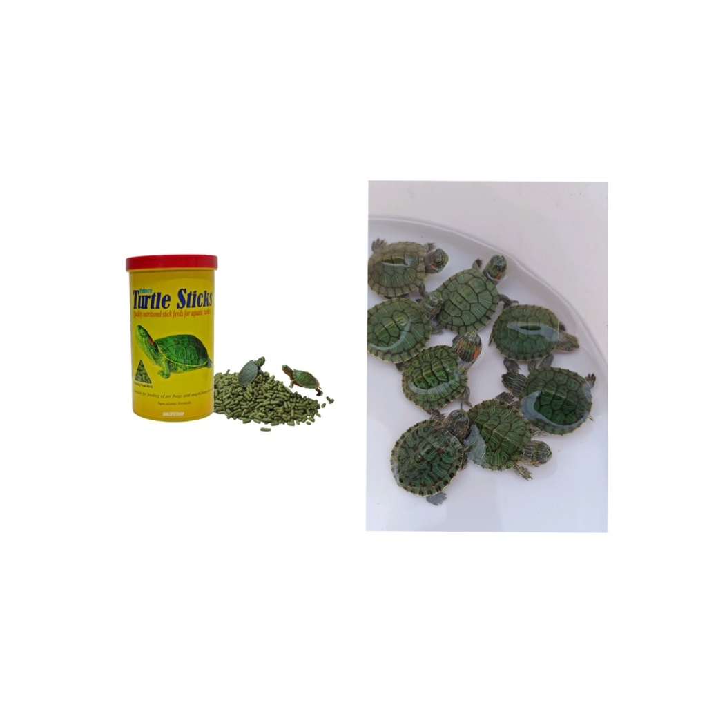 อาหารเต่าญี่ปุ่นฝาแดงTutleStickS (ขนาด 45กรัม +เต่า 1 )