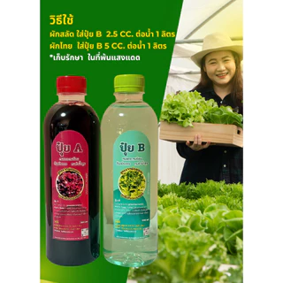 แม่ปุ๋ย AB เข้มข้น แบบน้ำผสมแล้ว ขวด 500ml ระบบรากฝอย