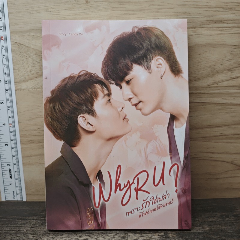 ⭐WHY R U ? เพราะรักใช่เปล่า - Candy On 🏷️1177866