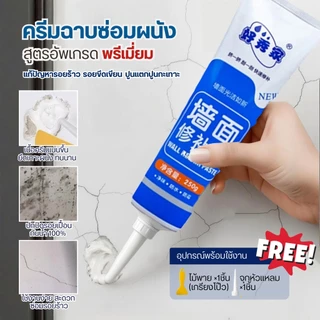 ครีมฉาบผนัง ซ่อมผนัง สีโป้ว ซ่อมผนัง ซ่อมรอยแตกร้าว ซ่อมแซมรอยร้าว ขนาด 250กรัม Wall Repair