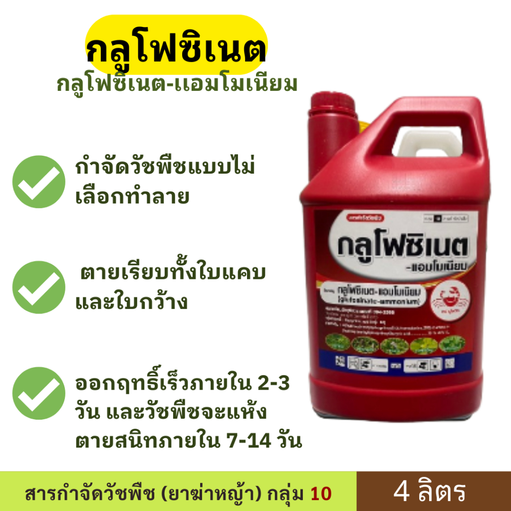 กลูโฟซิเนต ขนาด 4 ลิตร ตราปูเเดง สารกำจัดวัชพืชแบบ สัมผัสและดูดซึมได้เฉพาะส่วนที่เป็นสีเขียว