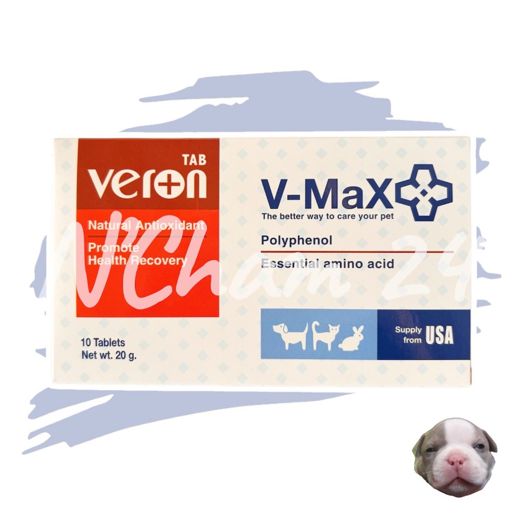 V-max Bio Gut / Veron บรรจุ 10 เม็ด อาหารเสริมช่วยระบบทางเดินอาหาร ช่วยแก้ปัญหาท้องเสีย รูปที่ 5