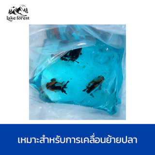 สูตรเข้มข้น x2 เมทาลีน METHYLENE BLUE