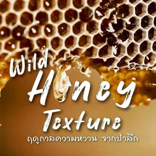 น้ำผึ้งป่าแท้ 3 ผืนป่าธรรมชาติ 100% เกรดพรีเมียม (WILD HONEY 3 Forests 100% Natural )