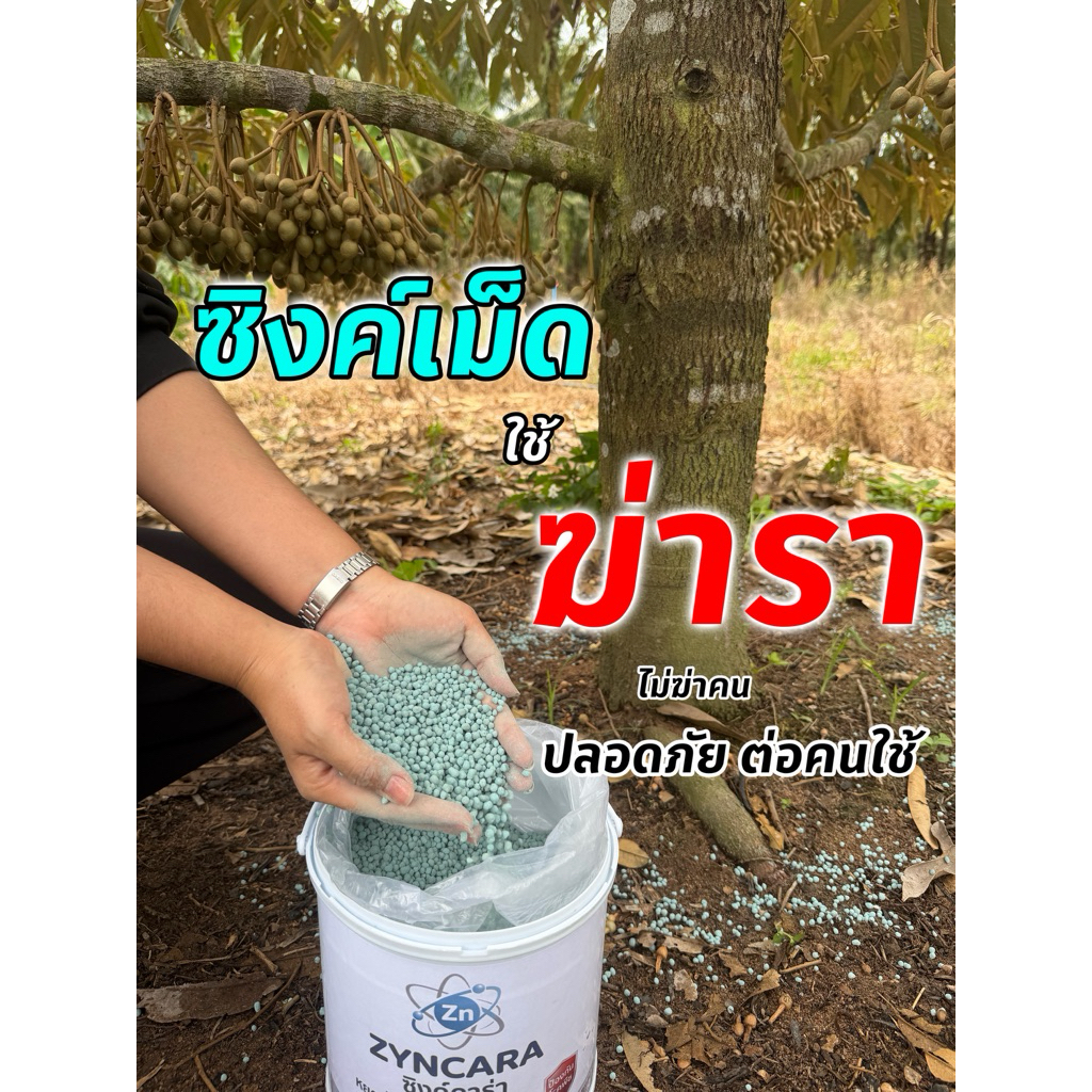 ซิงค์ คาร่า อัดเม็ด ใช้ป้องกันเชื้อรา คุมโรคทางดิน 2 ถัง น้ำหนัก 10 กิโล (จำนวน 2 ถัง )