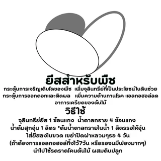 ยีสต์สำหรับต้นไม้ช่วยส่งเสริมการเจริญและป้องกันโรคพืชยีสต์สำหรับต้นไม้PGPYป้องกันโรคส่งเสริมการเจริญเติบโต