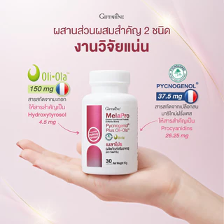 เมลาโปร พิกโนจีนอล กิฟฟารีน Mela Pro Pycnogenol Giffarine สารสกัดเปลือกสนฝรั่งเศส ผสมมะกอกสกัด
