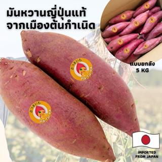 มันหวานเบนิฮารุกะ 5 KG / มันดิบยกลัง