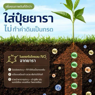 ปุ๋ย16-16-16 ยารามีร่า *แบ่งขาย 10โล* ปุ๋ยสูตรเสมอ ใช้ได้กับพืชทุกช่วงทุกชนิด