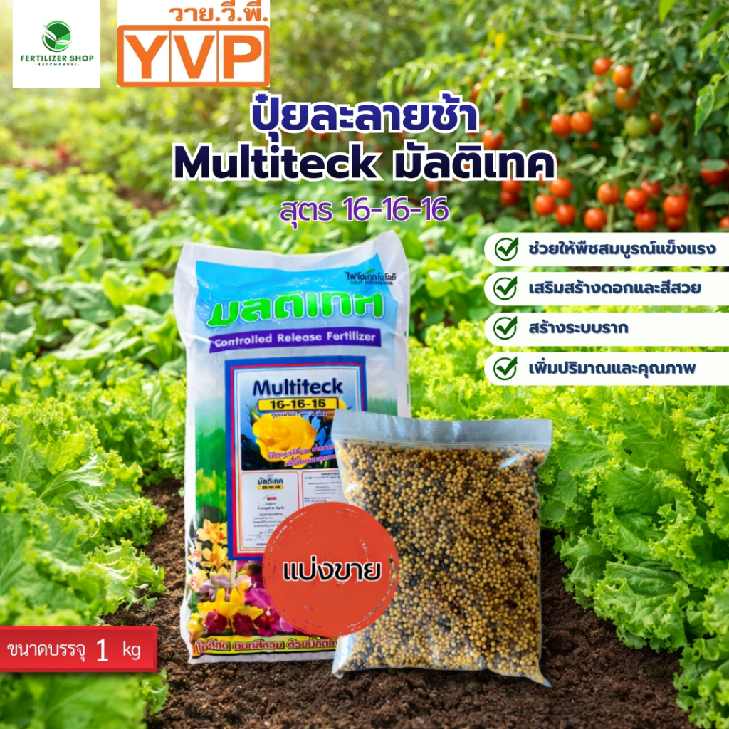 ปุ๋ยละลายช้า 16-16-16 มัลติเทค (**ชนิดแบ่งขาย ใส่ถุงซิบใส**) ขนาด 1kg