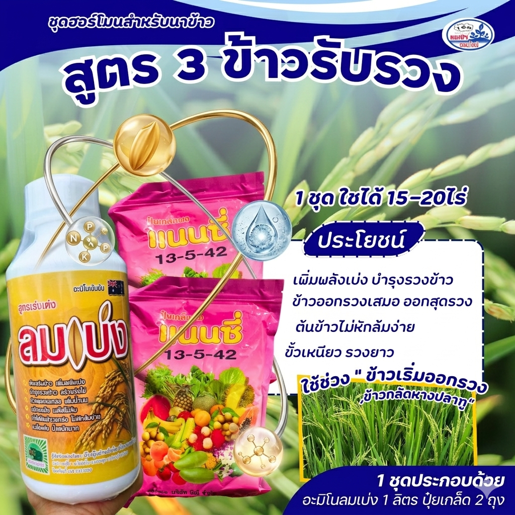 ชุดฮอร์โมนสำหรับนาข้าวระยะข้าวท้อง  สะสมอาหาร ลมเบ่ง ช่วยออกรวงเสมอ เม็ดเต่งเต็มรวง ลมเบ่ง1ลิตร + 13-5-42 แนนซี่ 2กก.