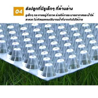 ถาดเพาะกล้านาโยน 434 หลุม50/100 ชิ้น (แบบหนา) มีรูระบาย เหนียว ทนทาน ใช้เพาะเมล็ดข้าว ถาดกล้านาโยน ป้องกันโรครากเน่า