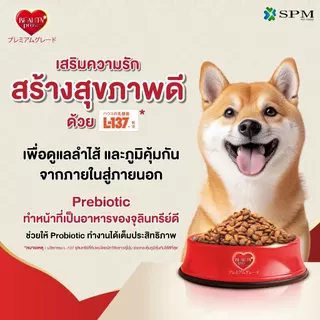 BeautyPro อาหารเม็ดสุนัขพรีเมียม สูตร Senior สูงวัยอายุ 7-10 ปี+ ขนาด 4.7 Kg. ปรับสมดุลทางเดินอาหาร