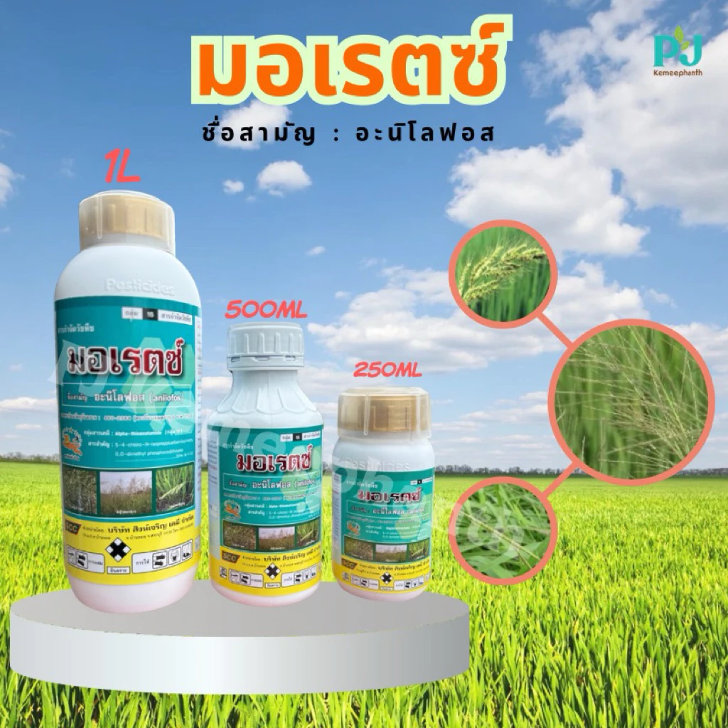 มอเรตซ์ #อะนิโลฟอส30% สารกำจัดหญ้าดอกขาว หญ้าข้าวนก หญ้านกสีชมพู ผักปอดนา กกขนาก