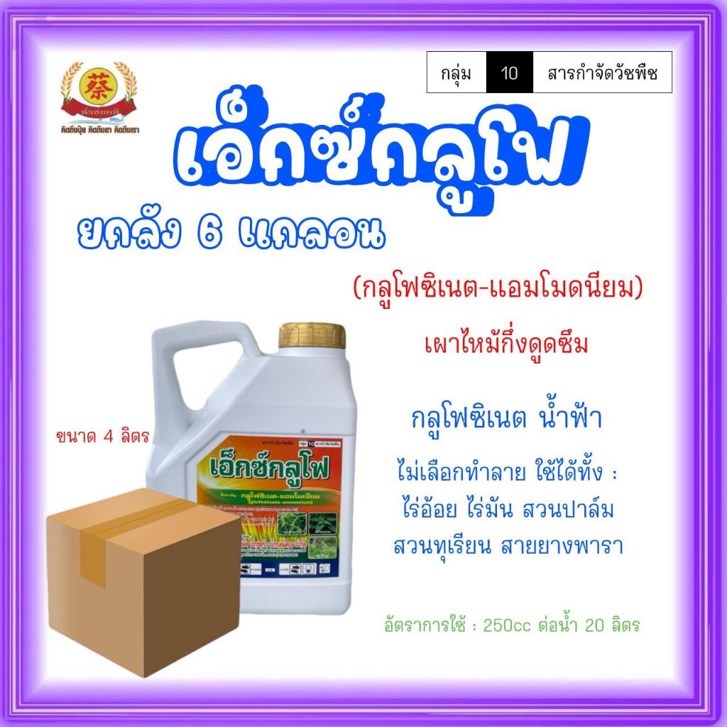 (O) เอ็กซ์กลูโฟ (ยกลัง6แกลลอน) กลูโฟซิเนตแอมโมเนียม