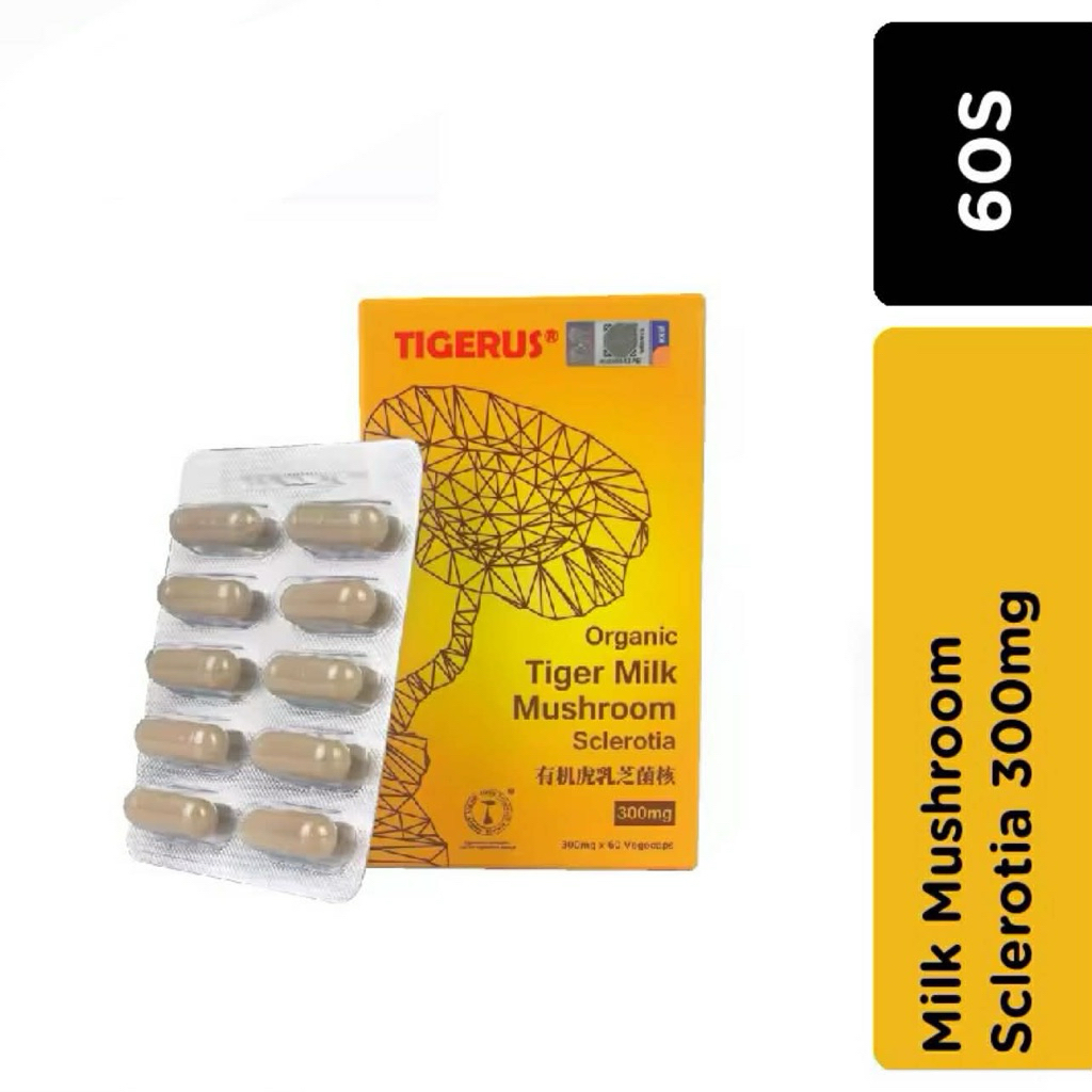 TIGERUS TIGER MILK MUSHROOM SCLEROTIA 300mg x 60’s - SINUS, ASTHMA RELIEF 虎乳芝