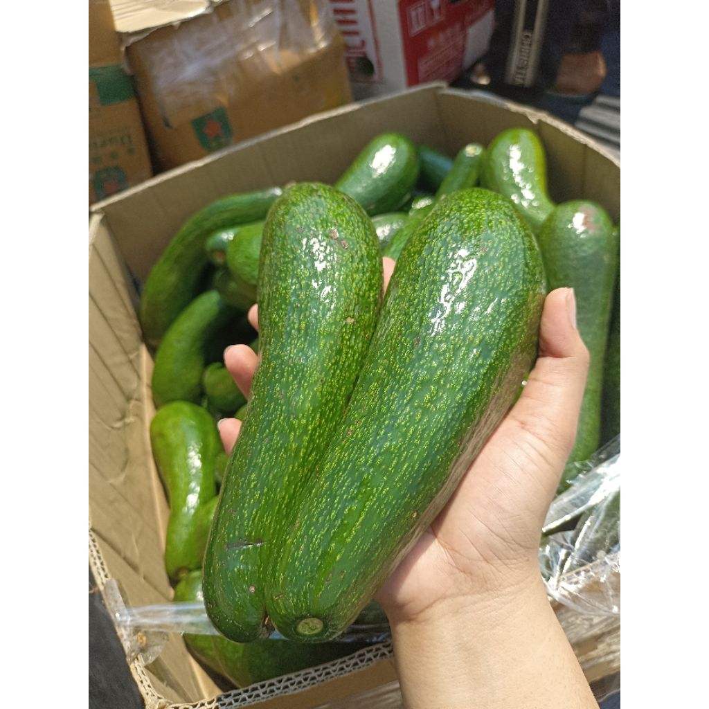 อโวคาโด A034 1 กิโลกรัม เนื้อแน่น หวานมัน สดใหม่