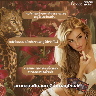 ใหม่ รวมตารุ่นฮิต 3in1 สี black chocolate จาก Eclate！สีคล้ายขนตาจริง ติดแล้วตาโต เนียน ละมุน ไม่โป๊ะ 1กล่องมี3ทรง