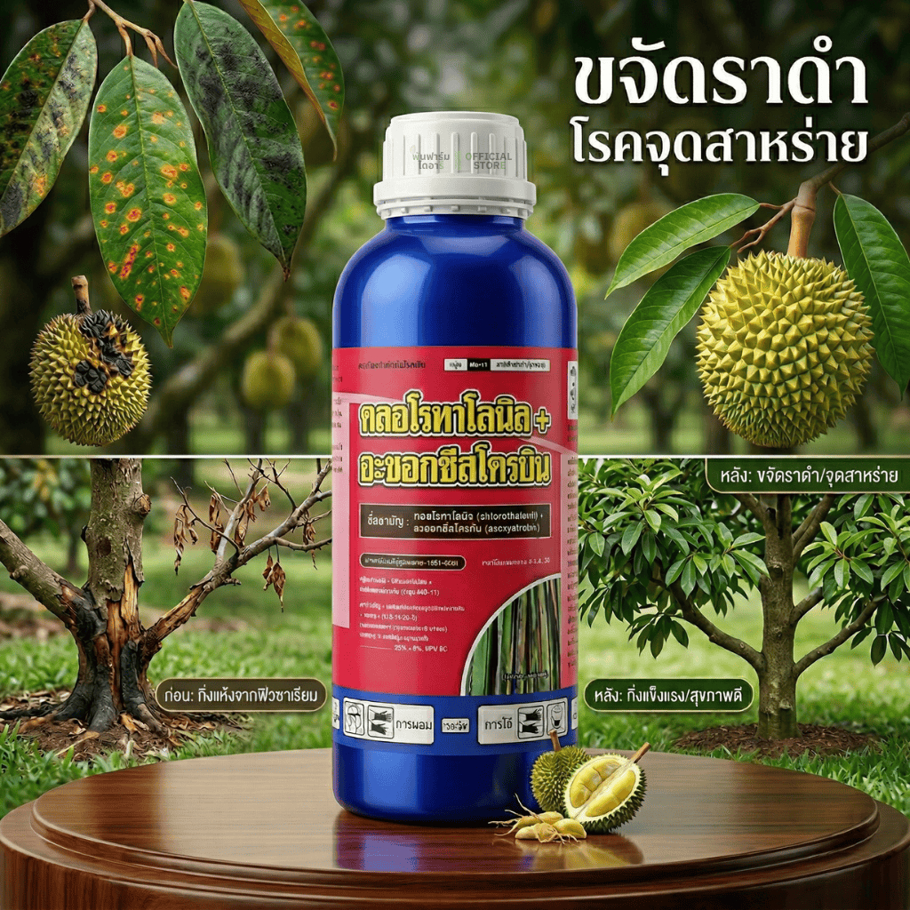 คลอโรทาโลนิล+อะซอกซีสโตรบิน ขนาด 1 ลิตร ป้องกันกำจัดใบจุดสาหร่ายทุเรียน ใบติด เเละ ราดำผิวทุเรียน