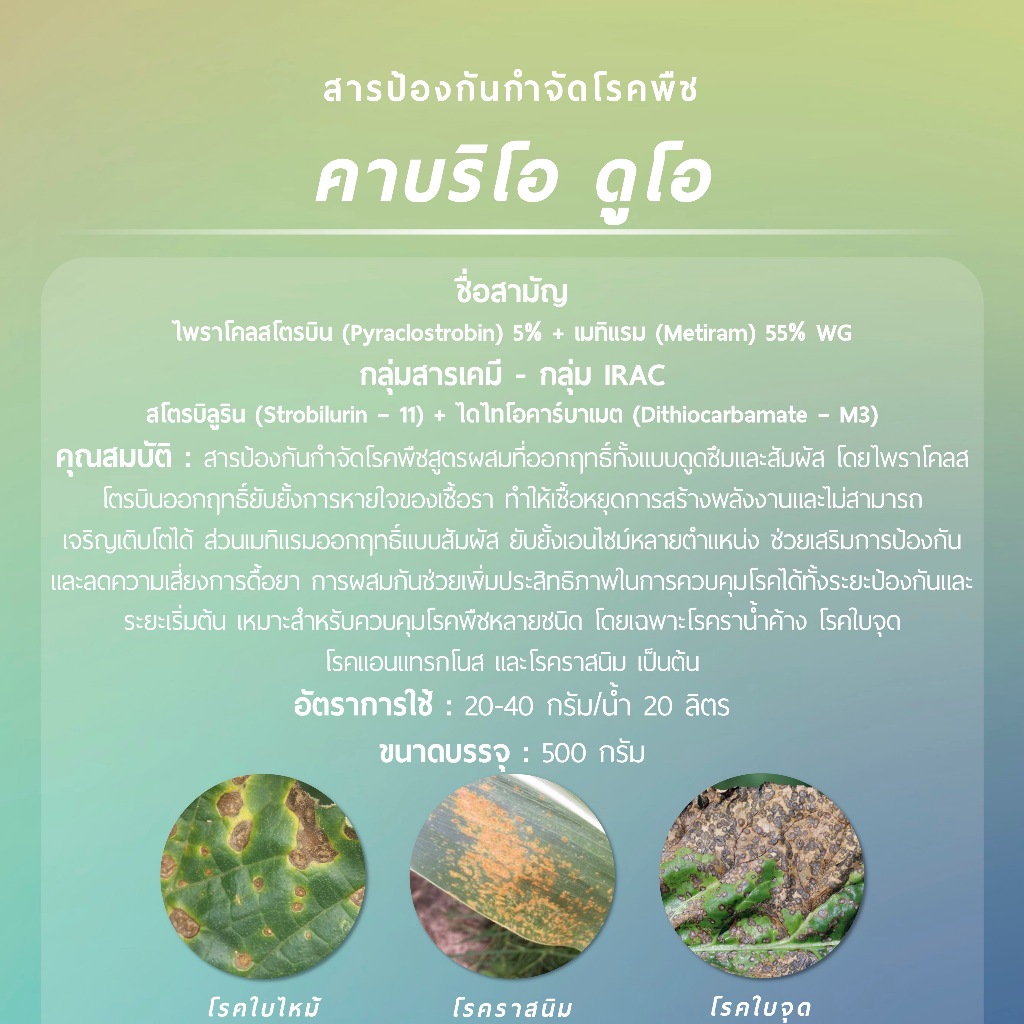 คาบริโอ ดูโอ (ไพราโคลสโตรบิน 5% + เมทิแรม 55% WG) 500 กรัม รูปที่ 2
