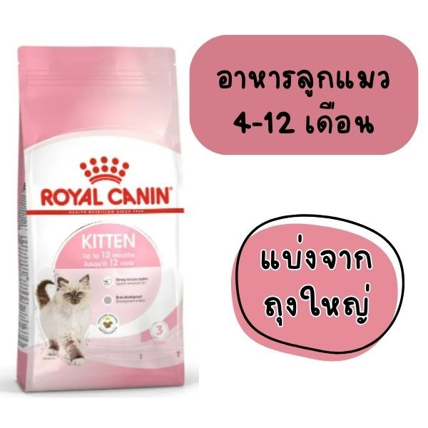 [[แมวเด็ก 4-12ปี]] ((แบ่งขายแพ็คสุญญากาศ)) อาหารแมว Royal Canin Kitten สูตรลูกแมว ช่วงวัย 4-12 เดือน