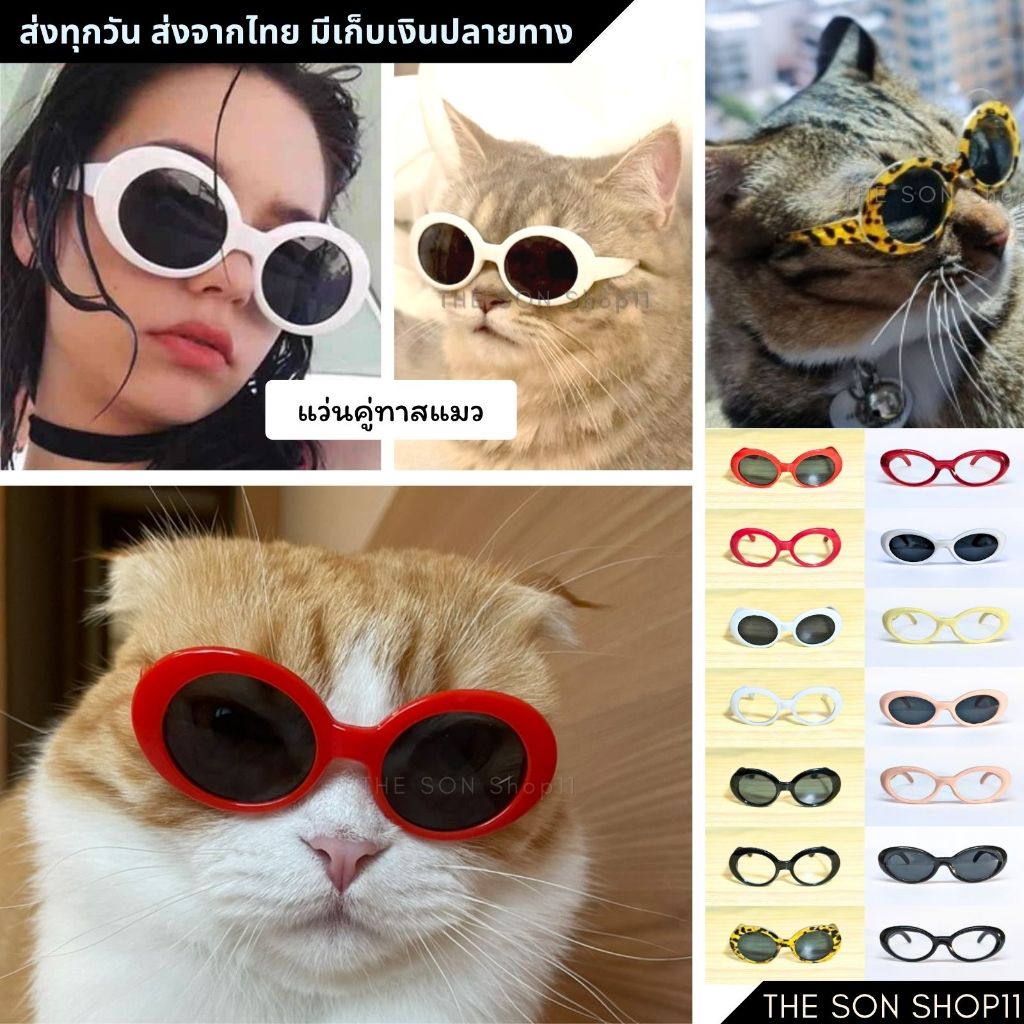 แว่นแมว สุนัขพันธ์เล็ก แว่นตาทาสแมว แว่นตุ๊กตา พร้อมส่งจากไทย เก็บเงินปลายทางได้