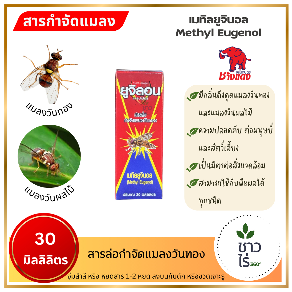 ยูลิจอน 30 ซีซี ตราช้างแดง Methyl Eugenol เมทิลยูจินอล สารล่อแมลงวันทอง กับดักแมลงวัน กลิ่นแมลงวันทอ