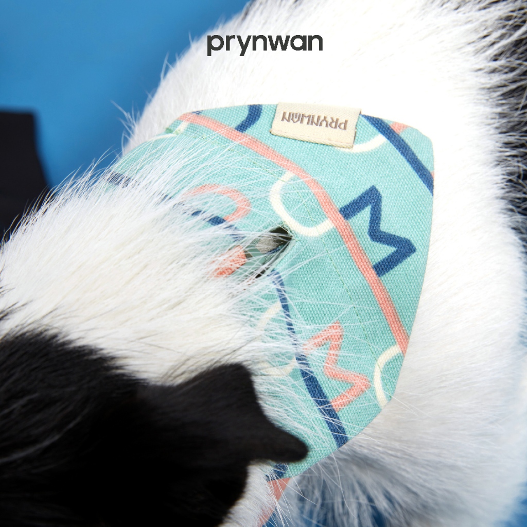 PRYNWAN Pets - Dog Bandana Pw Pattern ผ้าพันคอสำหรับสุนัข