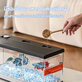ตู้ปลากัดหลายช่อง LED โปร่งใส วัสดุแข็งแรงไม่แตก วางบนโต๊ะทำงานหรือห้องนั่งเล่น อควาเรียมขนาดเล็ก