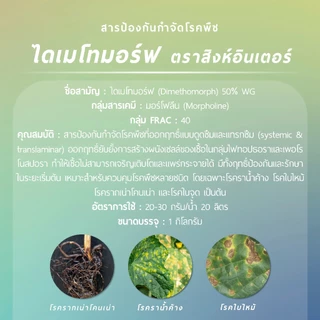 ไดเมโทมอร์ฟ ตราสิงห์อินเตอร์เทรด (ไดเมโทมอร์ฟ 50% WG) 1 กิโลกรัม