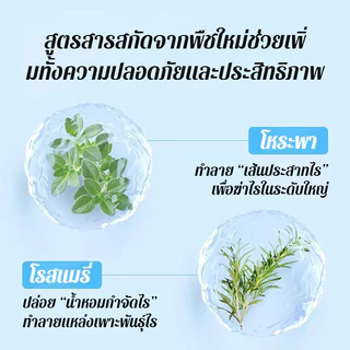 🌿ฉีดปุ๊บ ไรฝุ่นหาย! สเปรย์กำจัดไรฝุ่น 300ml น้ำยากำจัดไรฝุ่น ซึมลึก ลดอาการแพ้ คัน จาม ใช้กับที่นอน โซฟา หมอน เห็นผลเร็ว