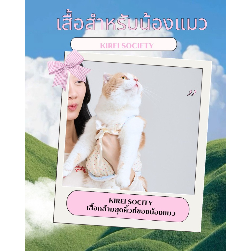 KIREI SOCIETY เสื้อปักสำหรับน้องแมวมีครบ size