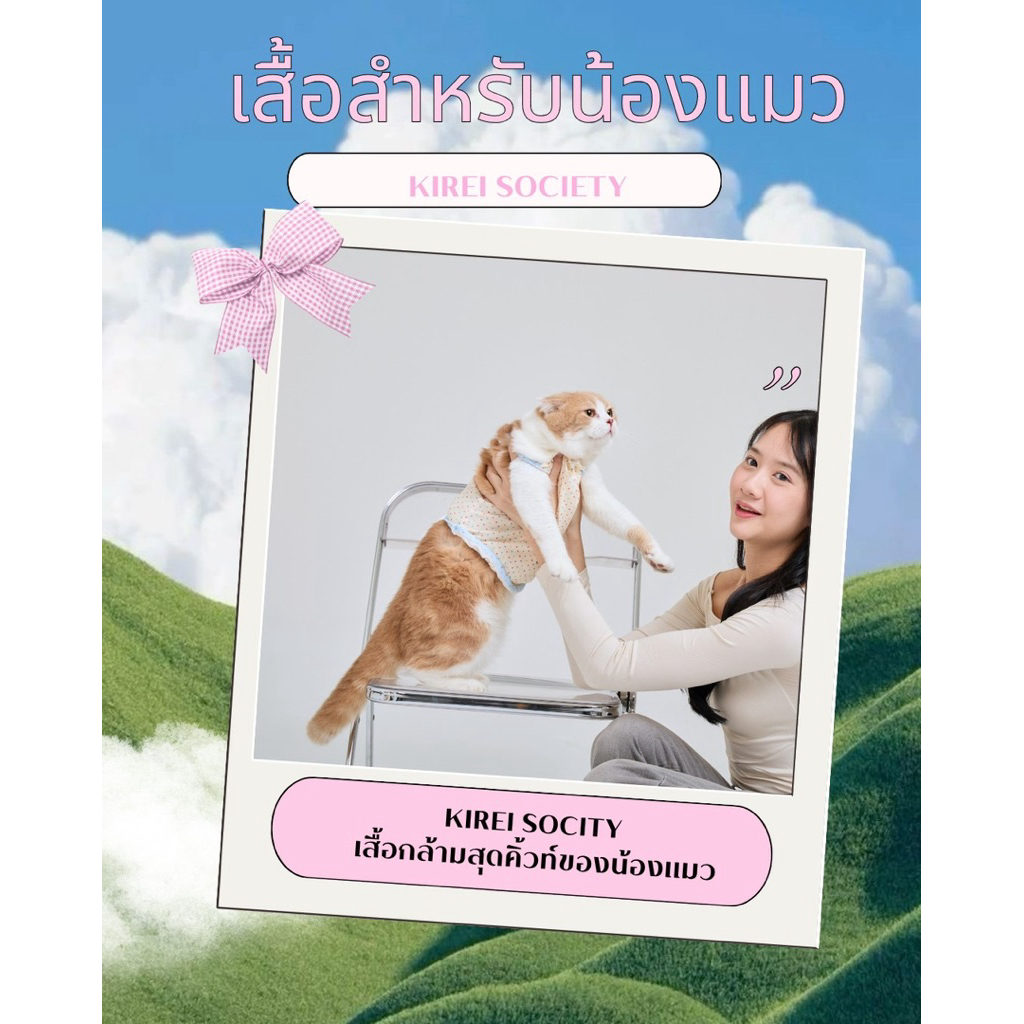 KIREI SOCIETY เสื้อปักสำหรับน้องแมวมีครบ size รูปที่ 7