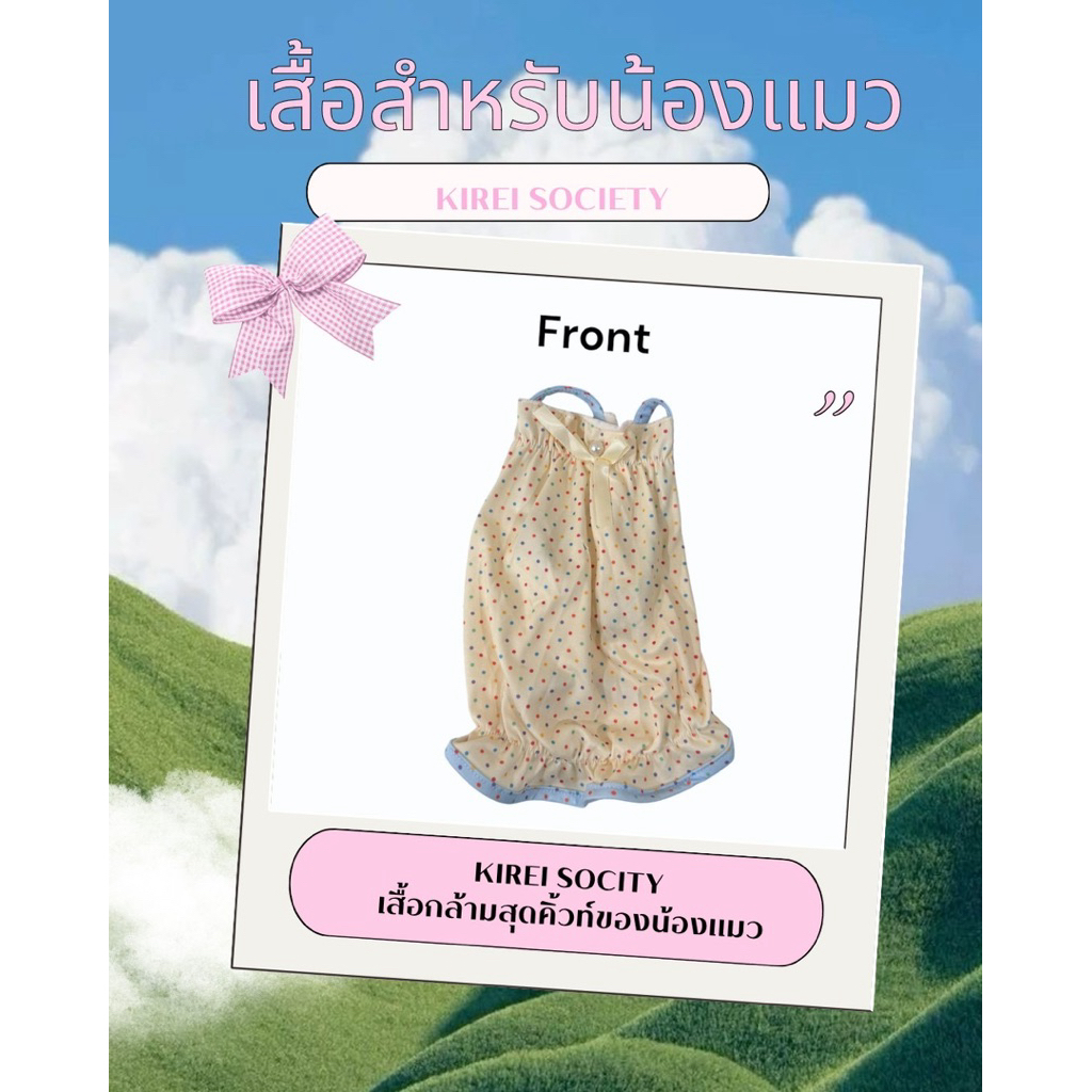 KIREI SOCIETY เสื้อปักสำหรับน้องแมวมีครบ size รูปที่ 8