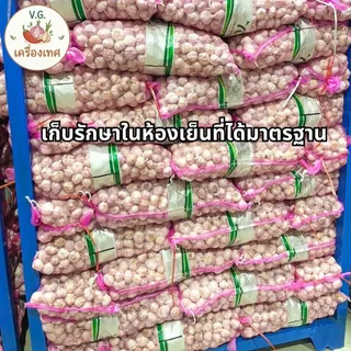 กระเทียมปิงปอง 3.5 ซม. คุณภาพดี กลีบแน่น ขายยกกระสอบ 9.5 - 10 กก.