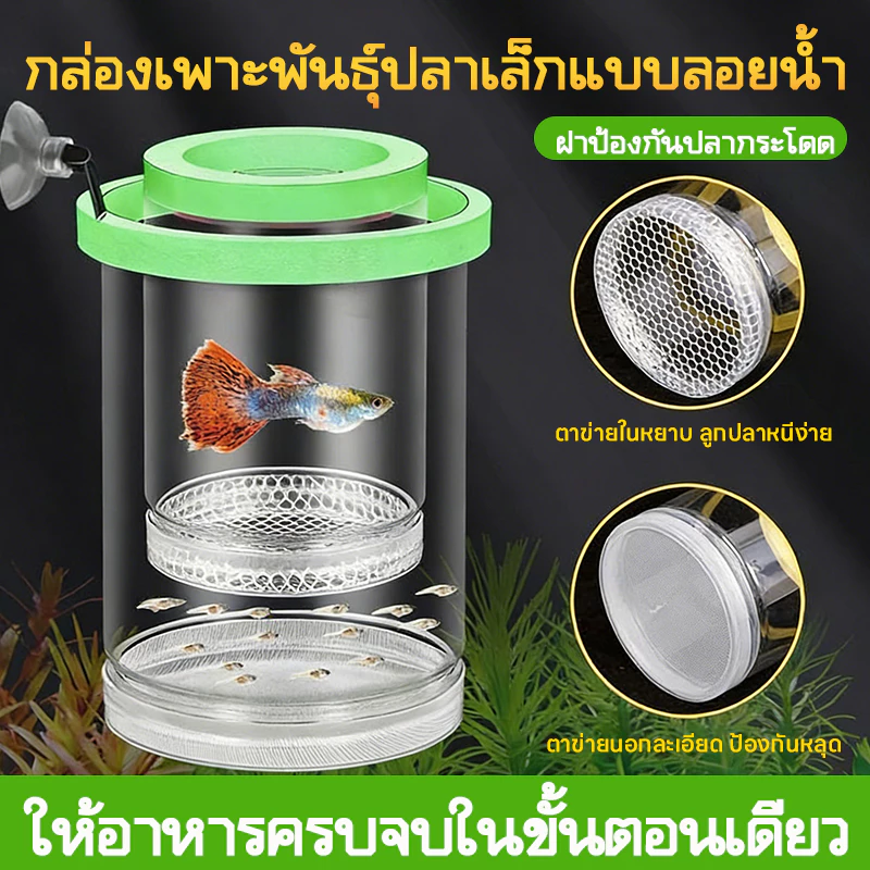 LIVING กล่องแยกปลา กล่องเพาะพันธุ์ปลาหางนกยูง ฟักไข่ปลา แยกปลาเล็ก