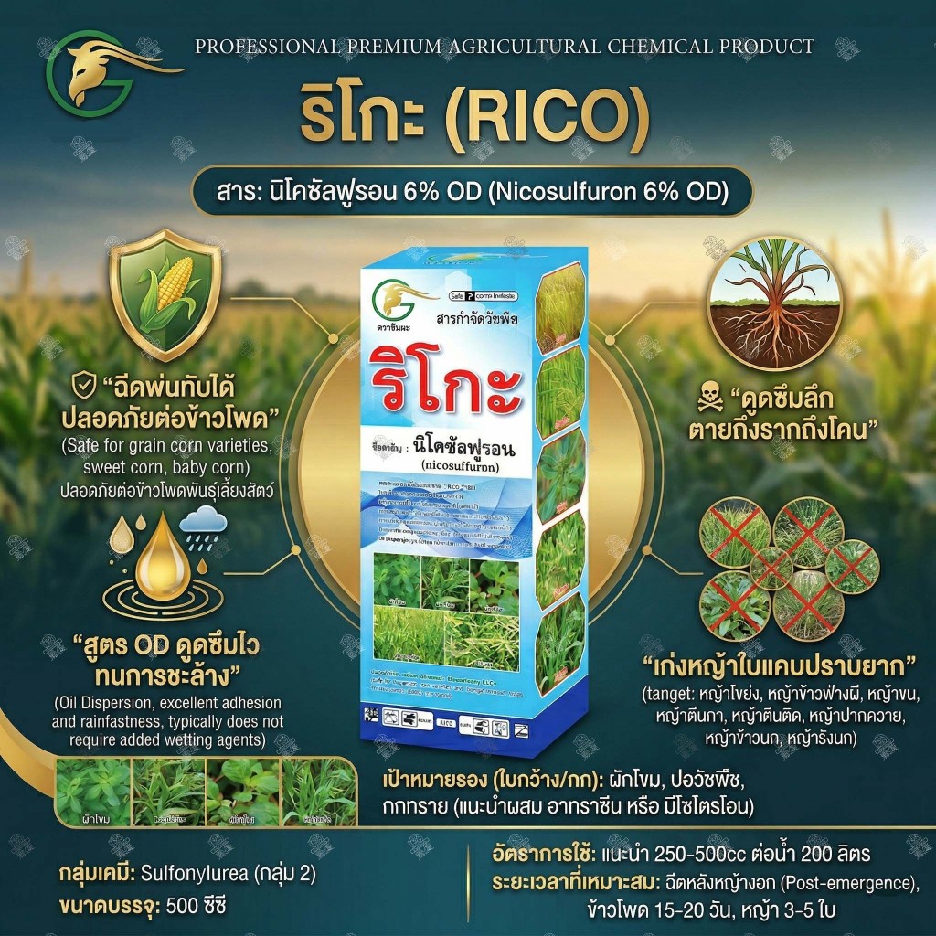 ริโกะ (500 ซีซี) สารเดียวกับนิโกะ นิโคซัลฟูรอน 6%OD กำจัดหญ้าในข้าวโพด หญ้าโขยง ข้าวฟ่างผี ข้าวโพดผี