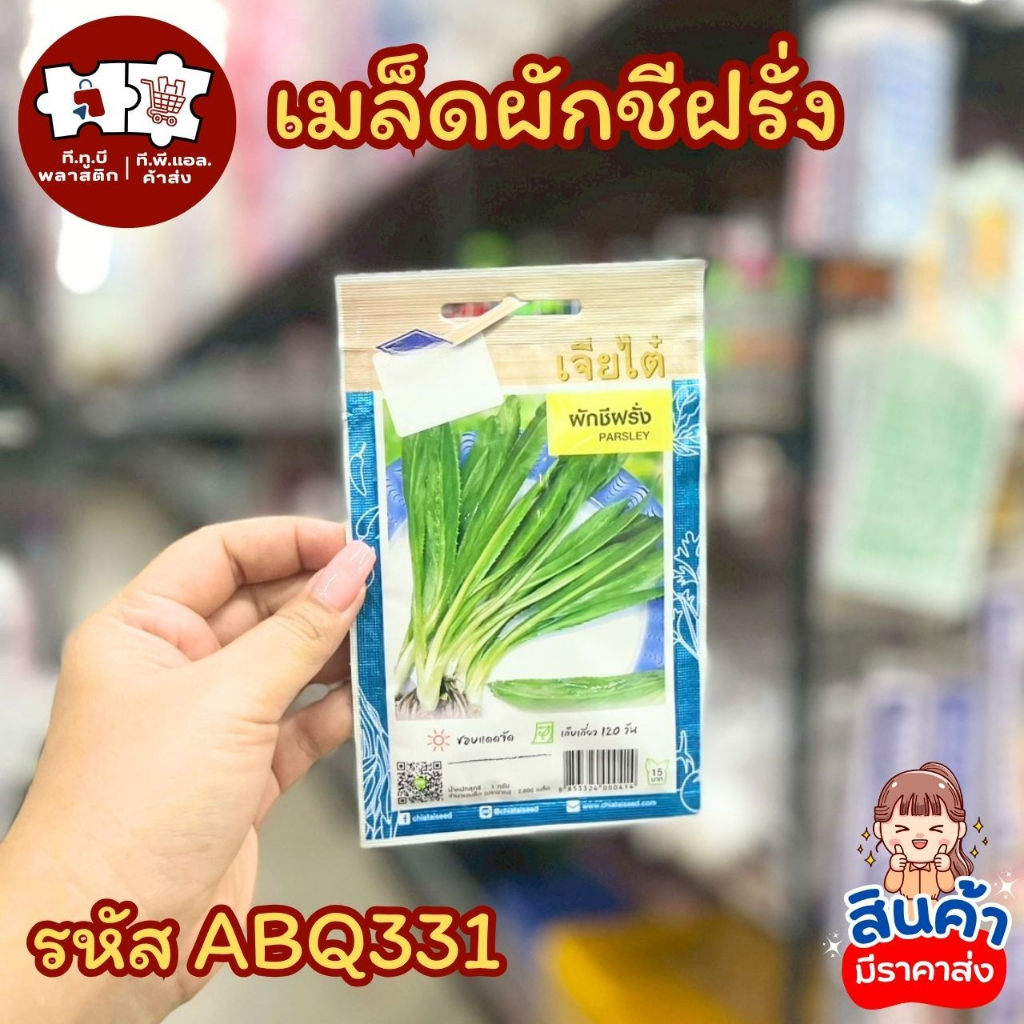 เมล็ดพันธุ์ผักเจียไต๋ พร้อมปลูก ขึ้นง่าย สินค้าพร้อมส่ง