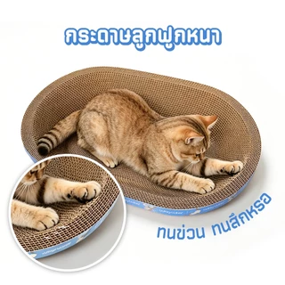 Petcho (Winky Wink) ที่ลับเล็บแมว อ่างลับเล็บของเล่นแมว ที่นอนแมว 2in1 วัสดุหนาพิเศษ