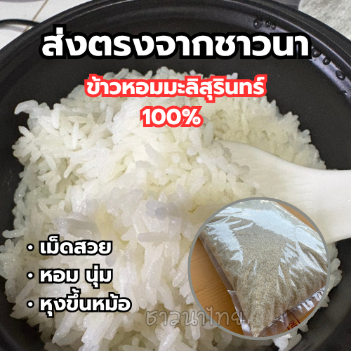 ข้าวหอมมะลิสุรินทร์แท้ ราคาคุ้มค่า หุงขึ้นหม้อ หอมอร่อย จากชาวนาอีสาน