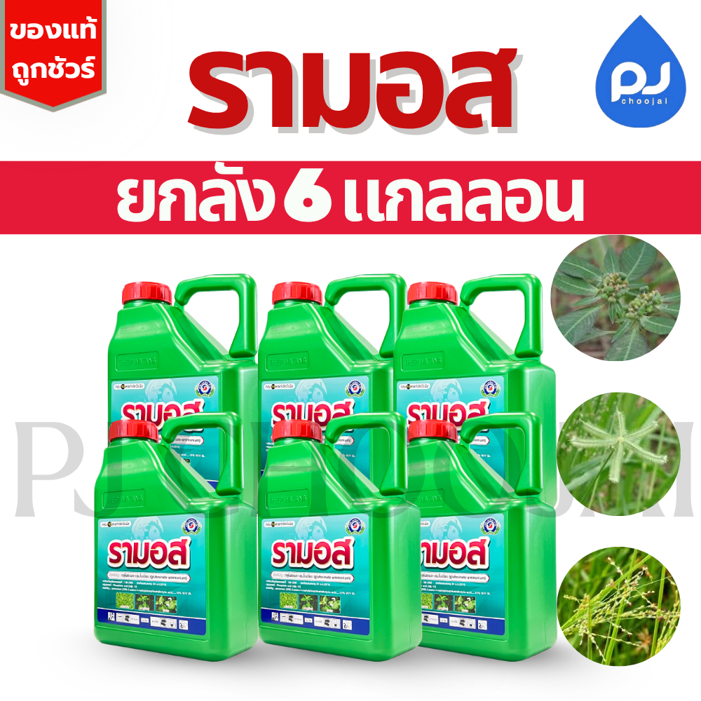 ยกลังรามอส4ลิตรx6แกลลอน สารกำจัดวัชพืช