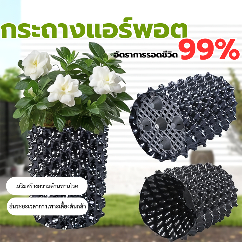 พร้อมส่งกรุงเทพ กระถางแอร์พอต Air Pot เร่งรากต้นไม้ มีรูระบายอากาศดี เหมาะปลูกบอนไซและต้นไม้สวน Air Pot