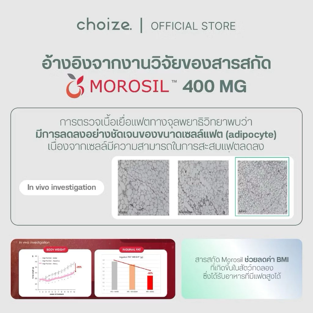 [ Last stock ] choize Lean protein โปรตีนพืช รส Brownie with cacao nibs โปรตีนสายลีน thumbnail 7