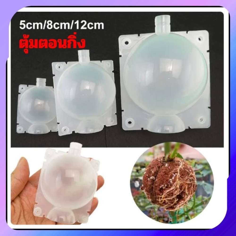 ร้อมส่งต้มตอนกิ่ง หนากว่าเดิม ตุ้มตอนกิ่ง(เกรดA) ตุ้มตอนกิ่งพลาสติก ลูกบอลตอนกิ่ง ขยายพันธุ์พืช ตอนกิ่ง ตอนต้นไม้ ตอนกิ่