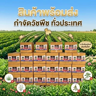 กลูโฟซิเนต -แอมโมเนียม15% (ตรามังกรดำ)W/V SL - ขนาด 4 ลิตร สินค้าผลิตใหม่ ของแท้