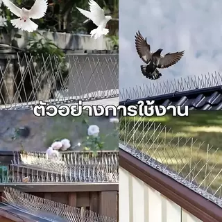 หนามไล่นก หนามกันนก​ สแตนเลส304 ยาว50ซม 10ชิ้น(60 หนาม) กันนกพิราบ แมว กันนกเกาะ หนามไล่นก anti bird repeller