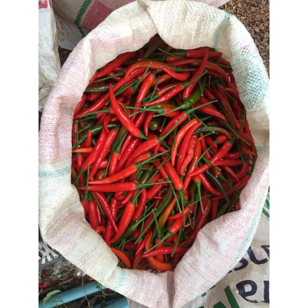 พริกแดงจินดา น้ำหนัก 2 กิโลกรัม